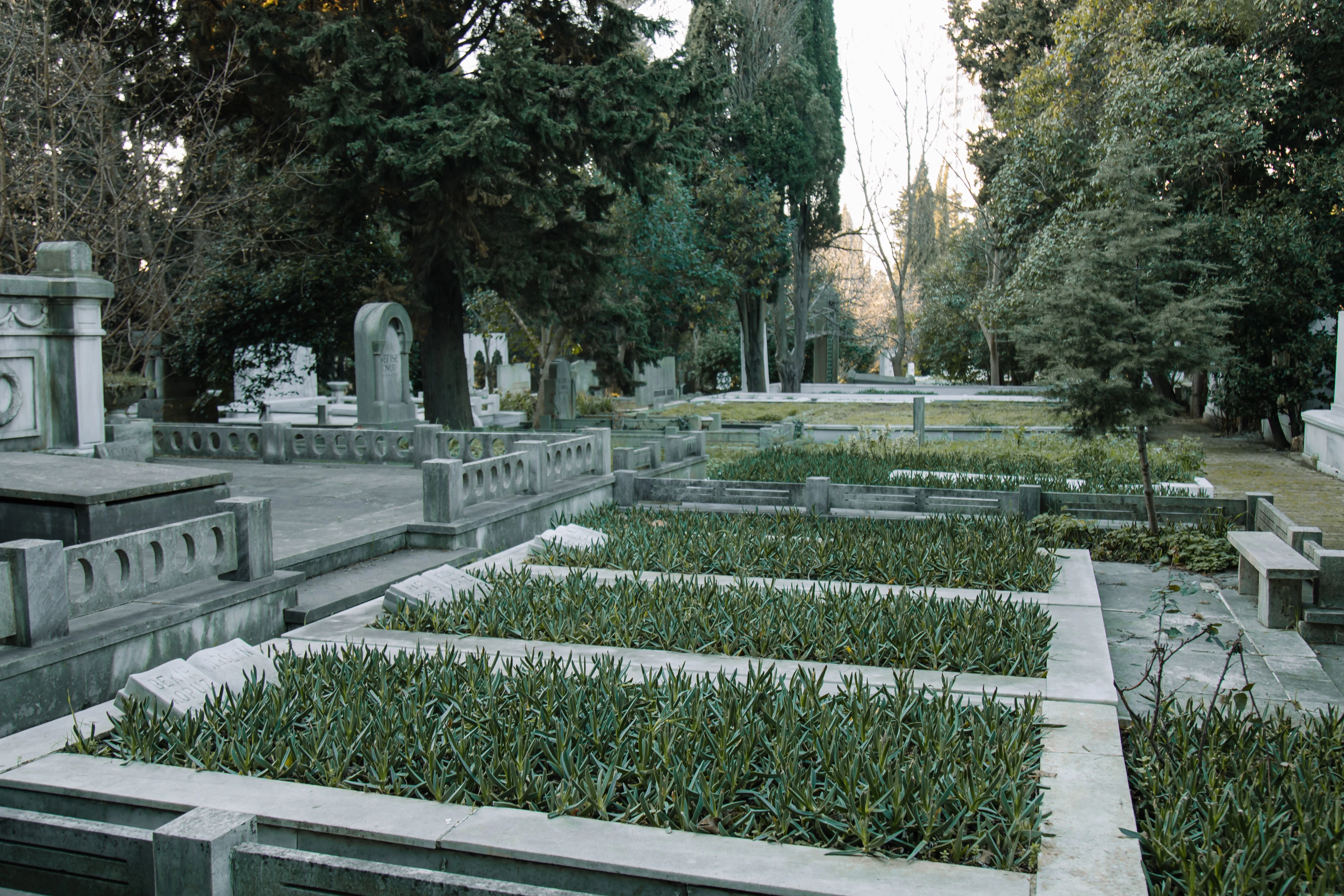 Sadranan Tradition: Ancestral Grave Pilgrimage in Java